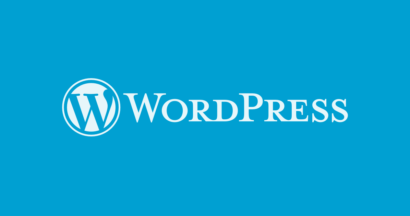 What is The Future of WordPress Web Development? 11 wordpress web development